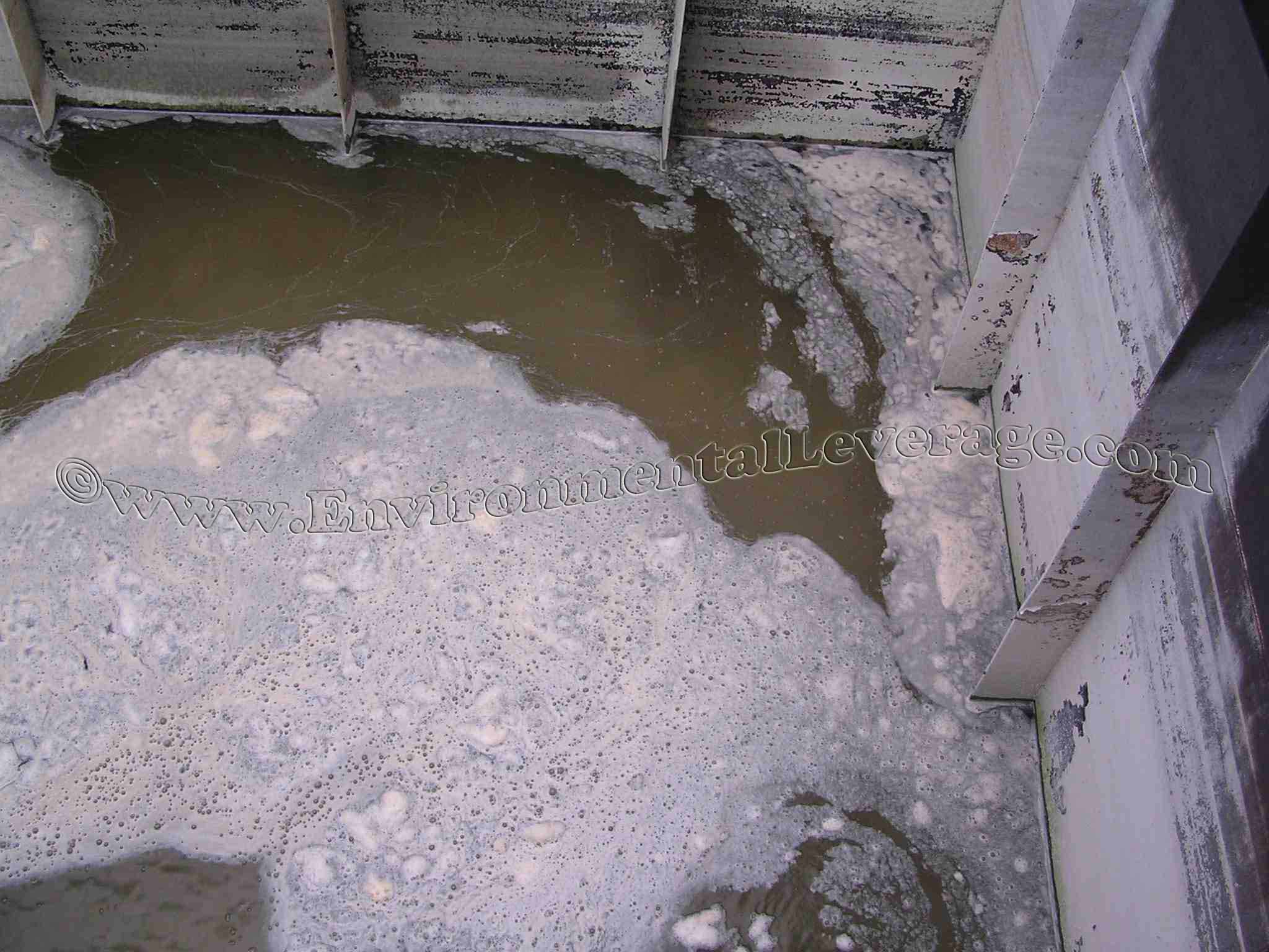 Barbecue Case History